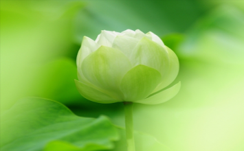 Làm người mới bắt đầu